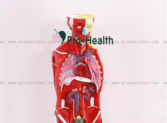 Bandes 100% coton Plus de bandage adhésif Bande de sport blanche Bande musculaire Bande athlétique Bande de sport Bande médicale